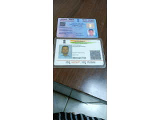 Found Pan card