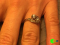 lost-ring-in-euroecho-2019-vienna-small-0