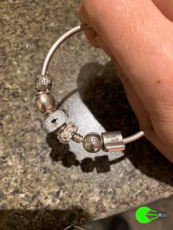 found-pandora-bracelet-at-scottsdale-tasmania-big-0