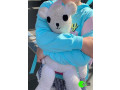 lost-teddy-at-the-sydney-airport-small-0