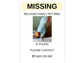 MISSING!