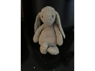 PLEASE HELP! LOST ESSA