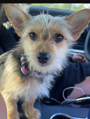 has-been-found-safe-big-0