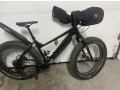 my-bike-was-stolen-out-of-my-back-yard-small-0
