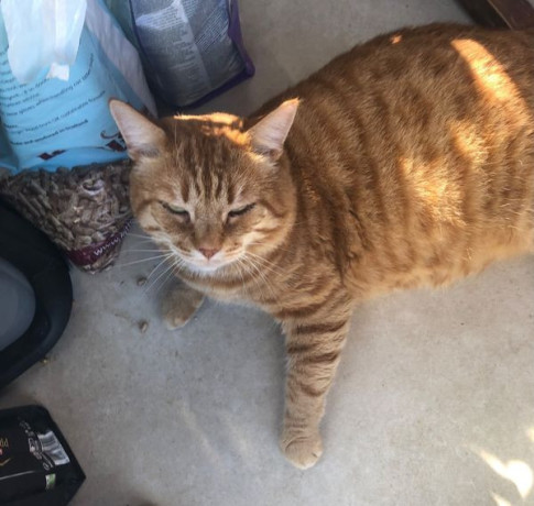 lost-mill-drive-hove-please-share-big-1