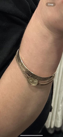 im-absolutely-devastated-to-have-a-lost-a-small-gold-watch-big-0