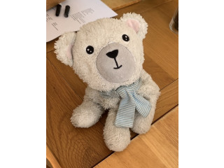 Lost Teddy (polar bear cub soft toy)