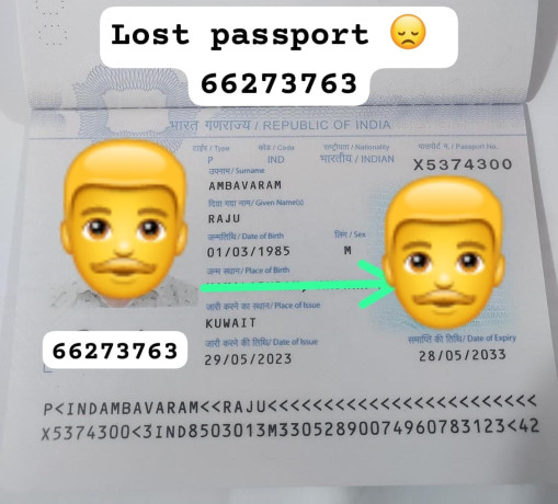 lost-pasport-big-0