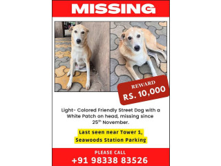 MISSING DOG ALERT