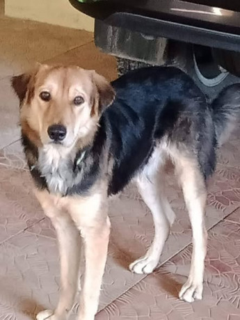 help-us-find-donnie-big-0