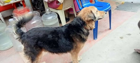 help-us-find-donnie-big-1