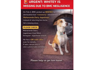 Whitey Deserves to Come Home