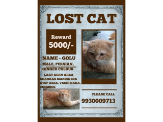 A Family’s Heart is Missing…