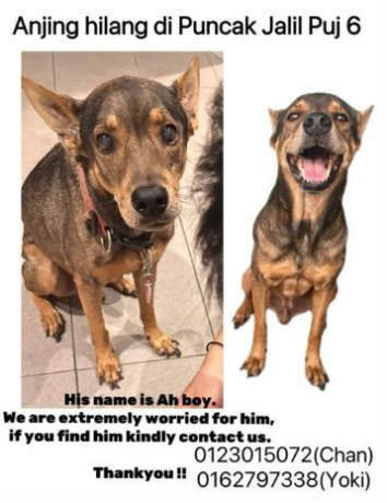 his-name-is-ah-boy-big-0