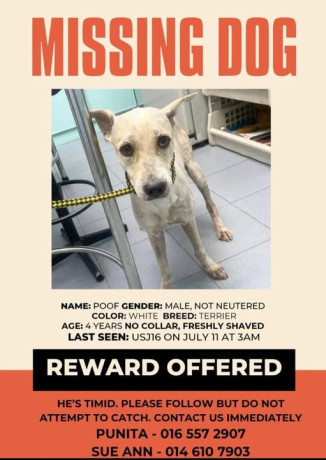poof-is-still-missing-big-0