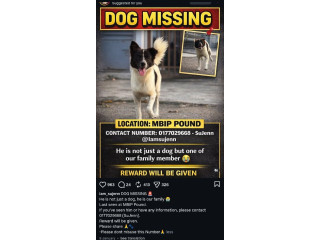 PLEASE HELP US BRING HIM HOME