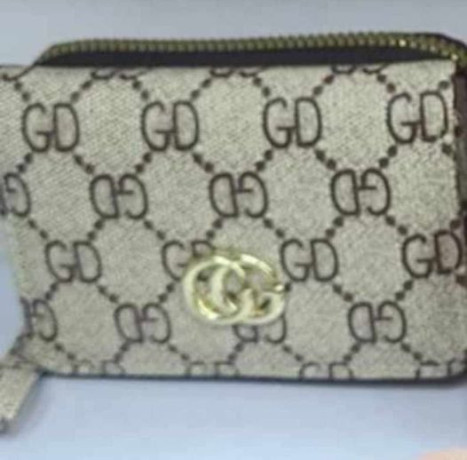 lost-this-purse-today-big-0
