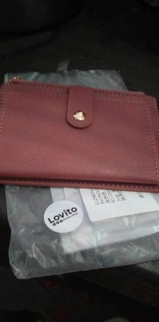 lost-wallet-big-0
