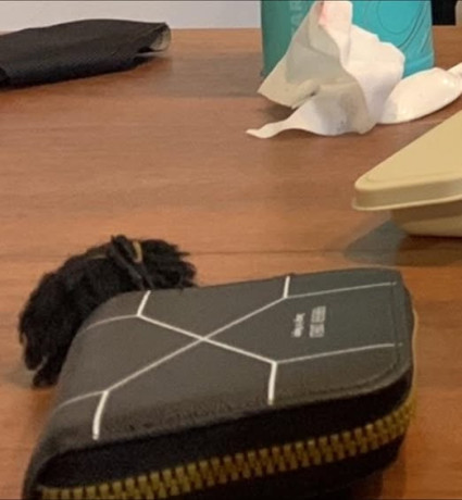lost-wallet-big-0