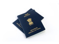 lost-passport-at-indian-embassy-riyadh-saudi-arabia-small-0