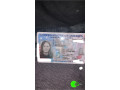 found-passport-of-emily-elizabeth-small-0
