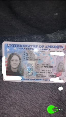 found-passport-of-emily-elizabeth-big-0