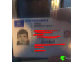 found-license-at-liverpool-small-0