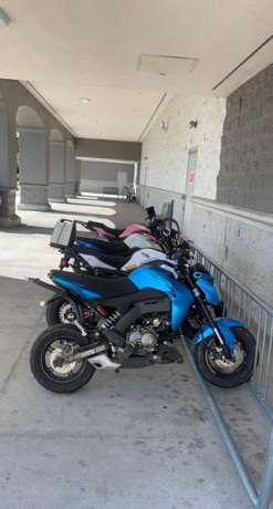 stolen-bike-big-0
