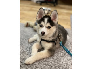 Mabel is missing