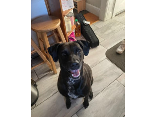 She went missing from East State St Granby