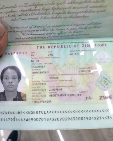 lost-her-passport-big-0