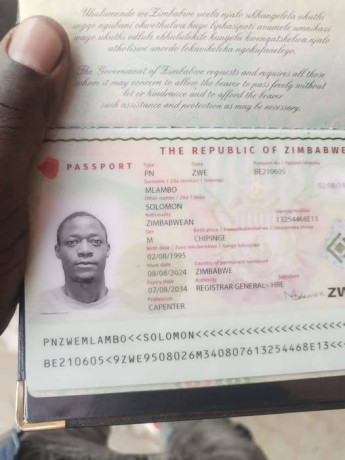 lost-passport-please-help-bring-it-home-big-0