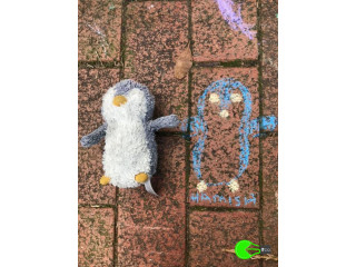 Penguin toy lost from Darling Quarter