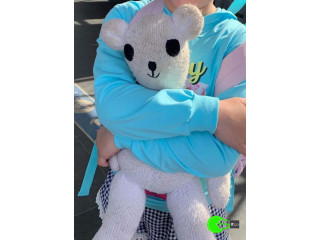 Lost teddy at the Sydney airport