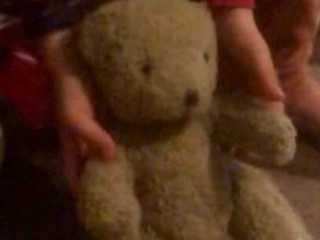 Lost teddy bear at Maroochydore