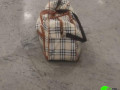 bag-lost-at-namchi-mainline-taxi-stand-small-0