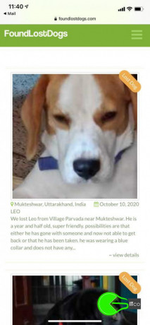 lost-a-beagle-on-1st-oct-in-uttarakhand-from-village-parwara-near-mukteshwar-the-name-is-leo-and-he-is-a-year-and-half-old-big-1