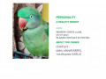 parrot-alexandrian-parakeet-pahadi-total-small-2