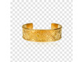 my-sister-has-lost-gold-bracelet-small-0