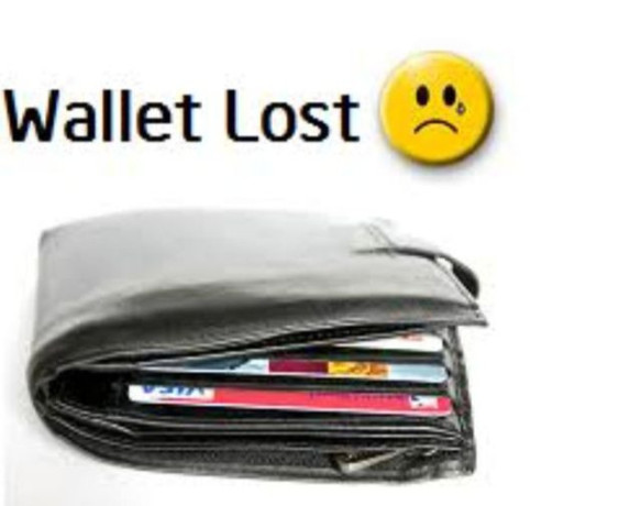 i-have-lost-wallet-big-0