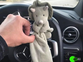 Lost toy between new Brighton train station and Liverpool central station
