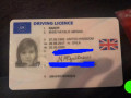 found-license-of-natalie-abigail-small-0