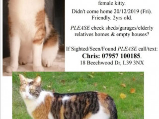 Pet missing from Ormskirk