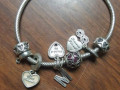 pandora-bracelet-found-in-toledo-ohio-small-0