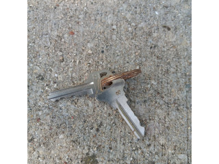 Found lost set of keys by lincoln park, lake area, off Irving